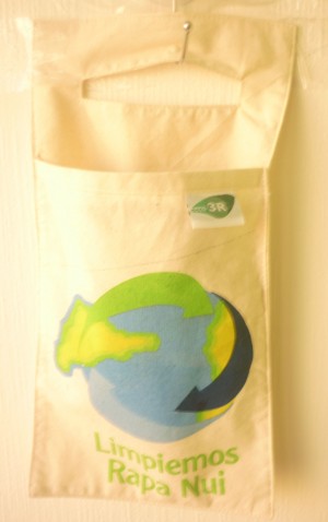 Caroline Aqueveque Turismo en Chile en La Florida |  Bolsas Ecol&oacute;gicas 100% algod&oacute;n., Olv&iacute;date de las bolsas pl&aacute;sticas 