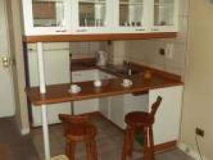 susana Turismo en Chile en Santiago |  $30.000.-DEPARTAMENTO DIARIO SANTIAGO CENTRO., CELULAR / 6 631 00 91