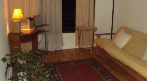 marcos D&iacute;az /M&oacute;nica Balut Turismo en Chile en Santiago |  Departamentos Amoblados, Bellas Artes