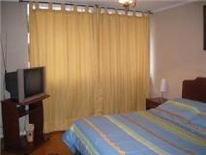 monica Turismo en Chile en Santiago |  alquilo departamento amoblado santiago centro dias,semanas, metro universidad de chile