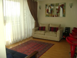 marisol Turismo en Chile en Santiago |  Departamento amoblado full &Ntilde;u&ntilde;oa / 88222341, Dept equipado y amoblado diario / semnal / mensual