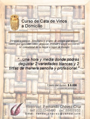 Fernando Ch&aacute;vez Turismo en Chile en Santiago |  Curso de Cata de Vinos a Domicilio, dirigido a parejas, familiares y amigos