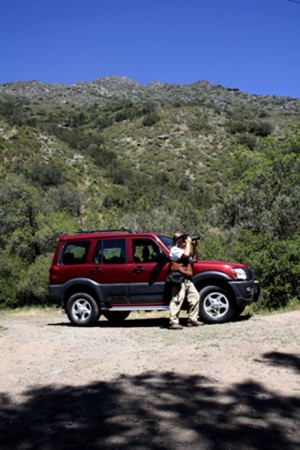 rene Turismo en Chile en Macul |  Desierto Florido Huasco-Desierto Florido-Llanos de Challe, Huasco-Desierto Florido-Llanos de Challe