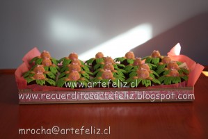 Marcela Rocha Turismo en Chile en &Ntilde;u&ntilde;oa |  Encintados !!!!  Muchos Encintados !!!!!, Bautizos,Baby Shower,Primera Comunion etc.....