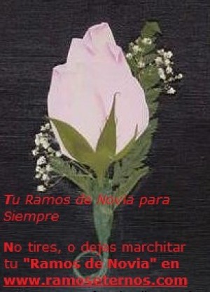  Turismo en Chile en Vitacura |  Ramos de novia enmarcados una idea muy original,  TU ramo_de_novia enmarcado