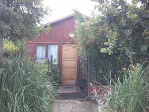 elizabeth gonzales Turismo en Chile en Co&ntilde;aripe |  se arrienda caba&ntilde;a , solo en temporada de verano 