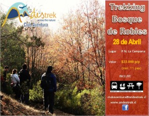 Andes Trek Ltda Turismo en Chile en Vi&ntilde;a del Mar |  Trekking Bosque de Robles , Parque Nacional La Campana