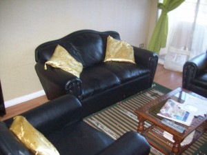 lily Turismo en Chile en Valpara&iacute;so |  con vista al mar,  amoblado, departamento en arriendo , valparaiso,placeres, hasta diciembre 2012, estudiantes,  extrangeros, comodiada , seguridad