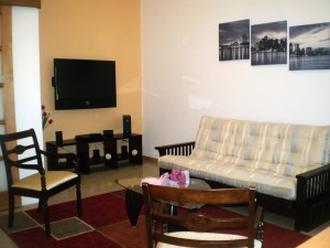 Victor Vergara  Turismo en Chile en Santiago |  Arriendo Departamento Amoblado por d&iacute;as, elegante Apart Hotel ubicado frente al palacio de la moneda 