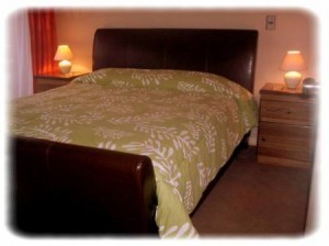 Apartsantiago Turismo en Chile en Santiago |  ALOJAMIENTO EN SANTIAGO DE CHILE, EXCELENTES DEPARTAMENTOS AMOBLADOS Y EQUIPADOS